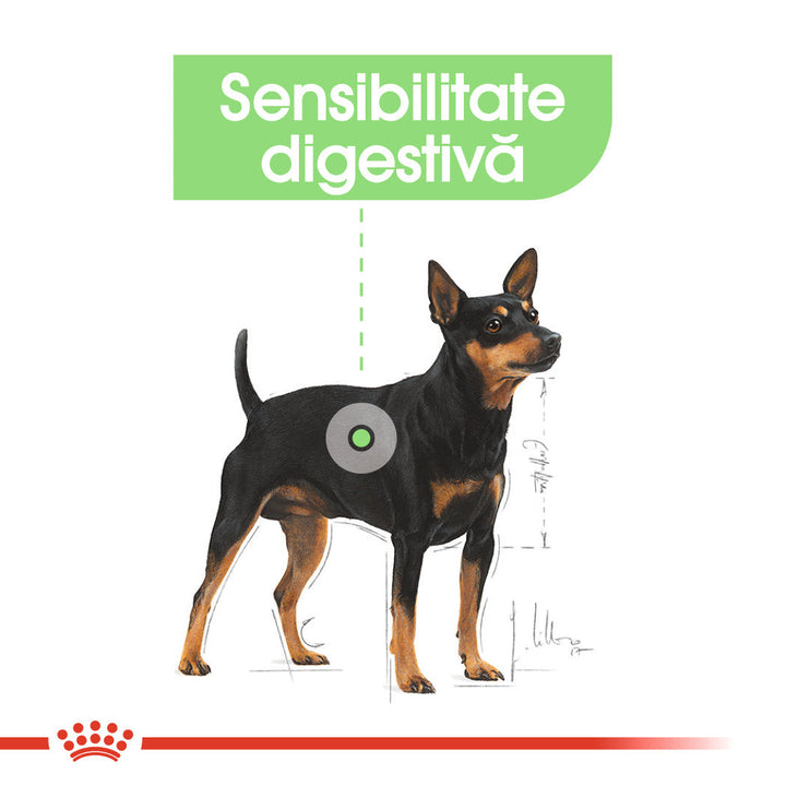 Royal Canin Mini Digestive Care hrana uscata caine, confort digestiv, 1 kg