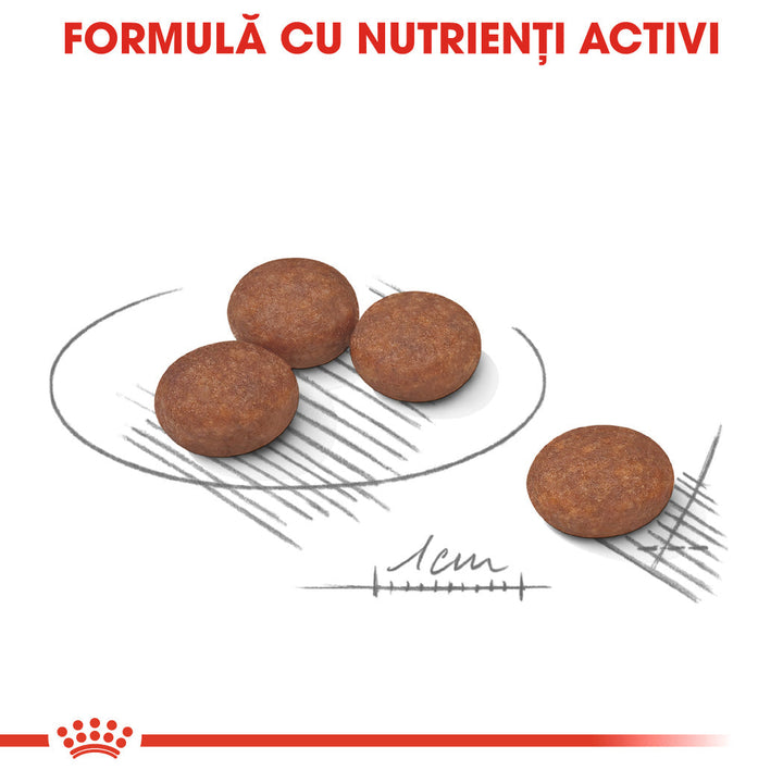 Royal Canin Mini Digestive Care hrana uscata caine, confort digestiv, 8 kg