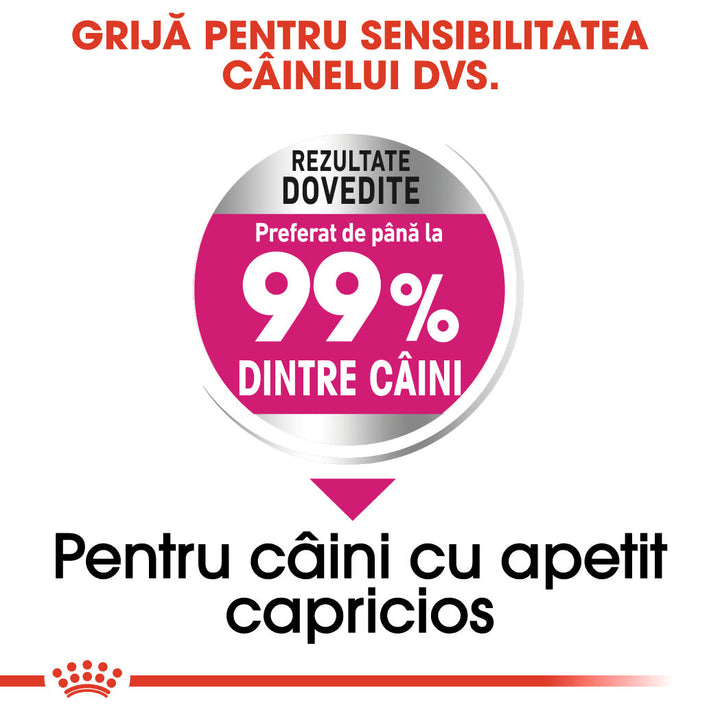 Royal Canin Mini Exigent hrana uscata caine, apetit capricios, 3 kg