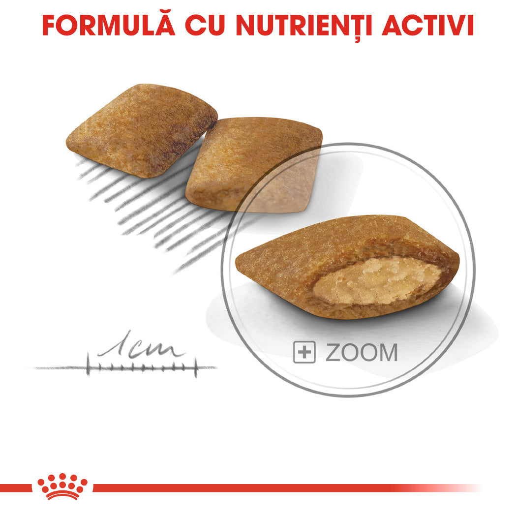 Royal Canin Mini Exigent hrana uscata caine, apetit capricios, 1 kg