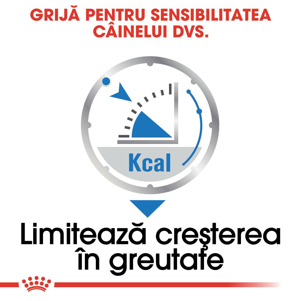 Hrana Umeda Caini Royal Canin BS75E | Light Weight, 85g, 12x