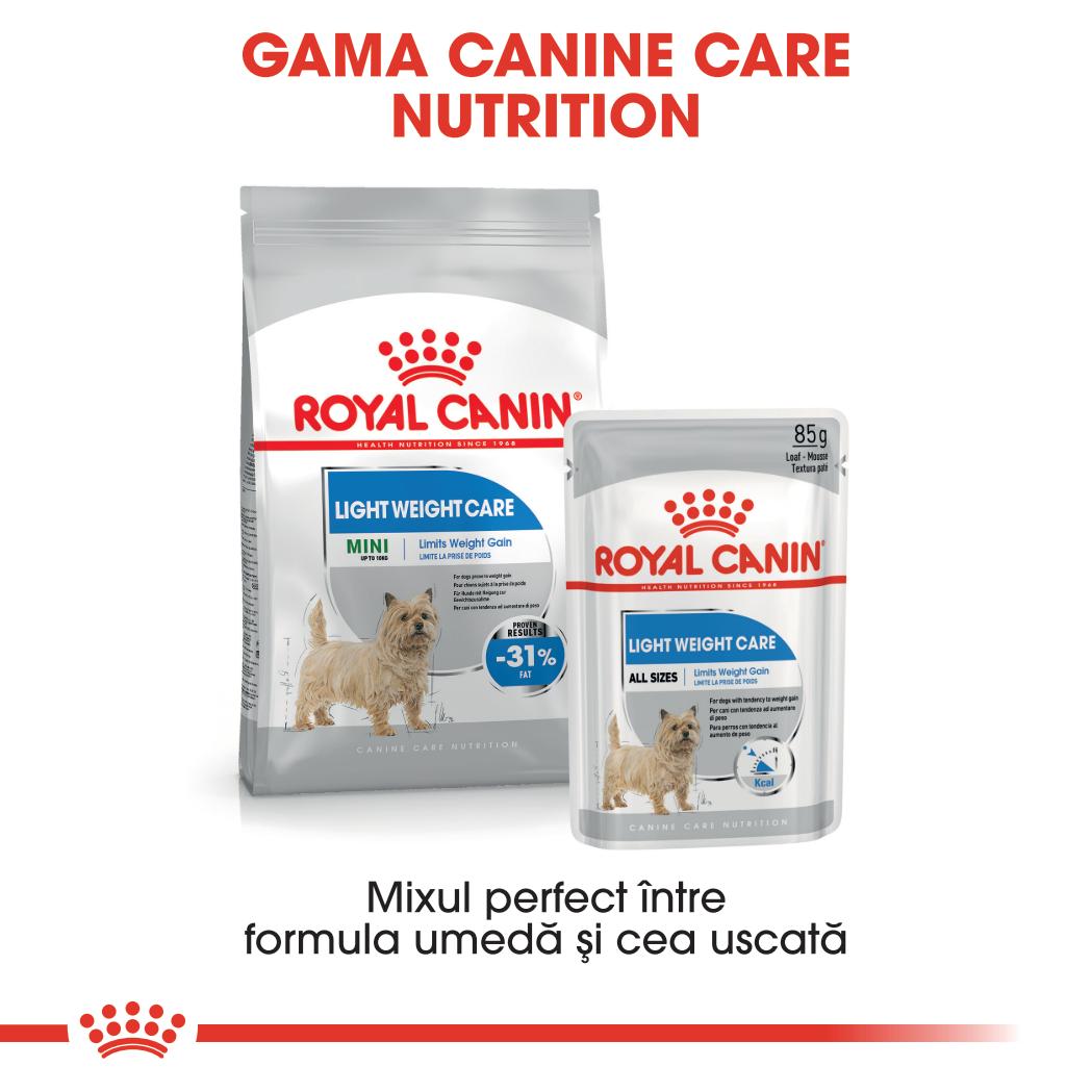 Royal Canin Light Weight Care Adult hrana umeda caine, limitarea cresterii in greutate (pate), 12 x 85 g
