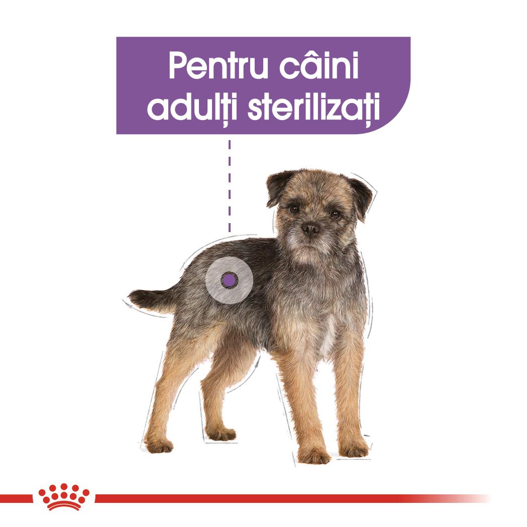Royal Canin Sterilised Adult hrana umeda caine sterilizat (pate), 12 x 85 g