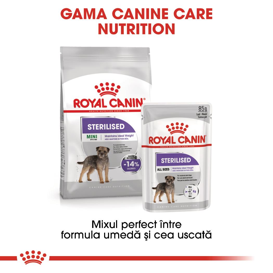 Royal Canin Sterilised Adult hrana umeda caine sterilizat (pate), 12 x 85 g