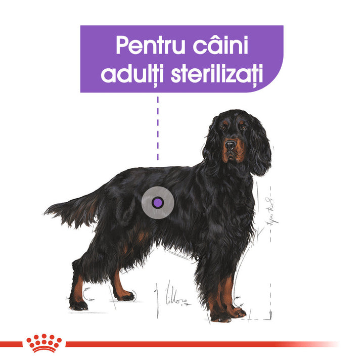 Royal Canin Maxi Sterilised Adult hrana uscata caine sterilizat, 12 kg