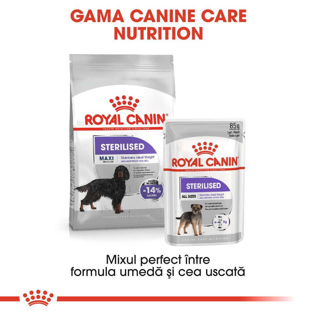 Royal Canin Maxi Sterilised Adult hrana uscata caine sterilizat, 12 kg