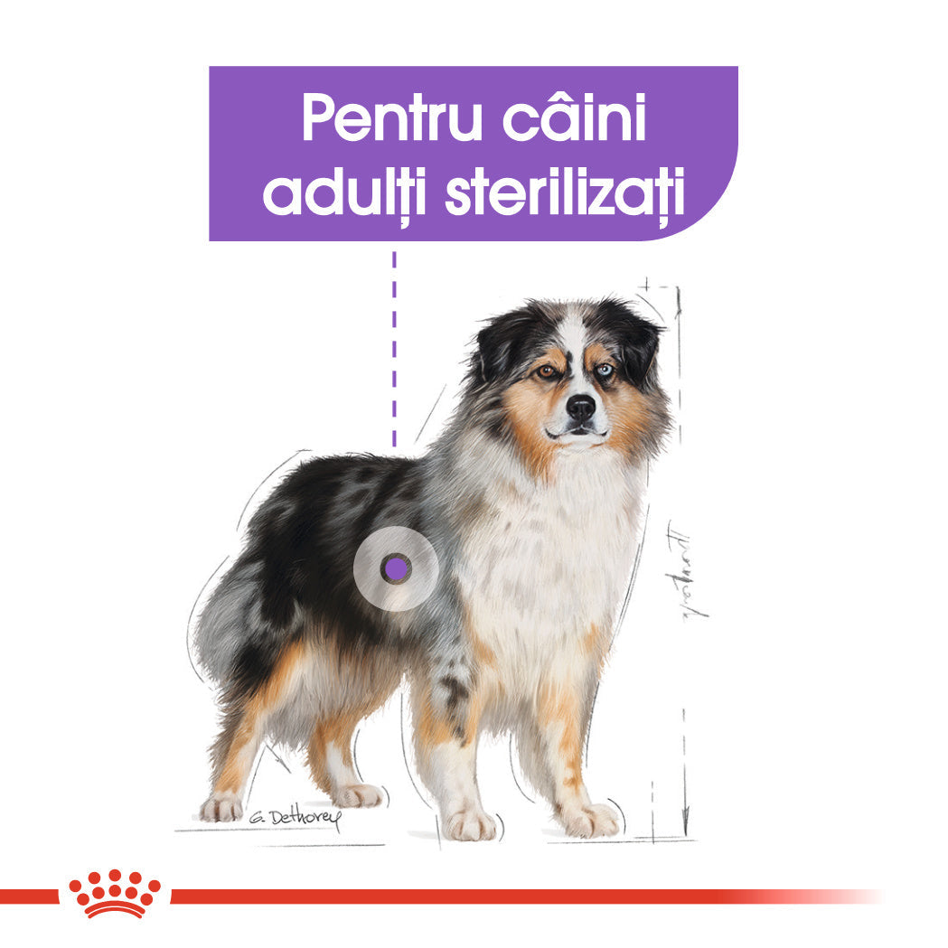 Royal Canin Medium Sterilised Adult hrana uscata caine sterilizat, 3 kg