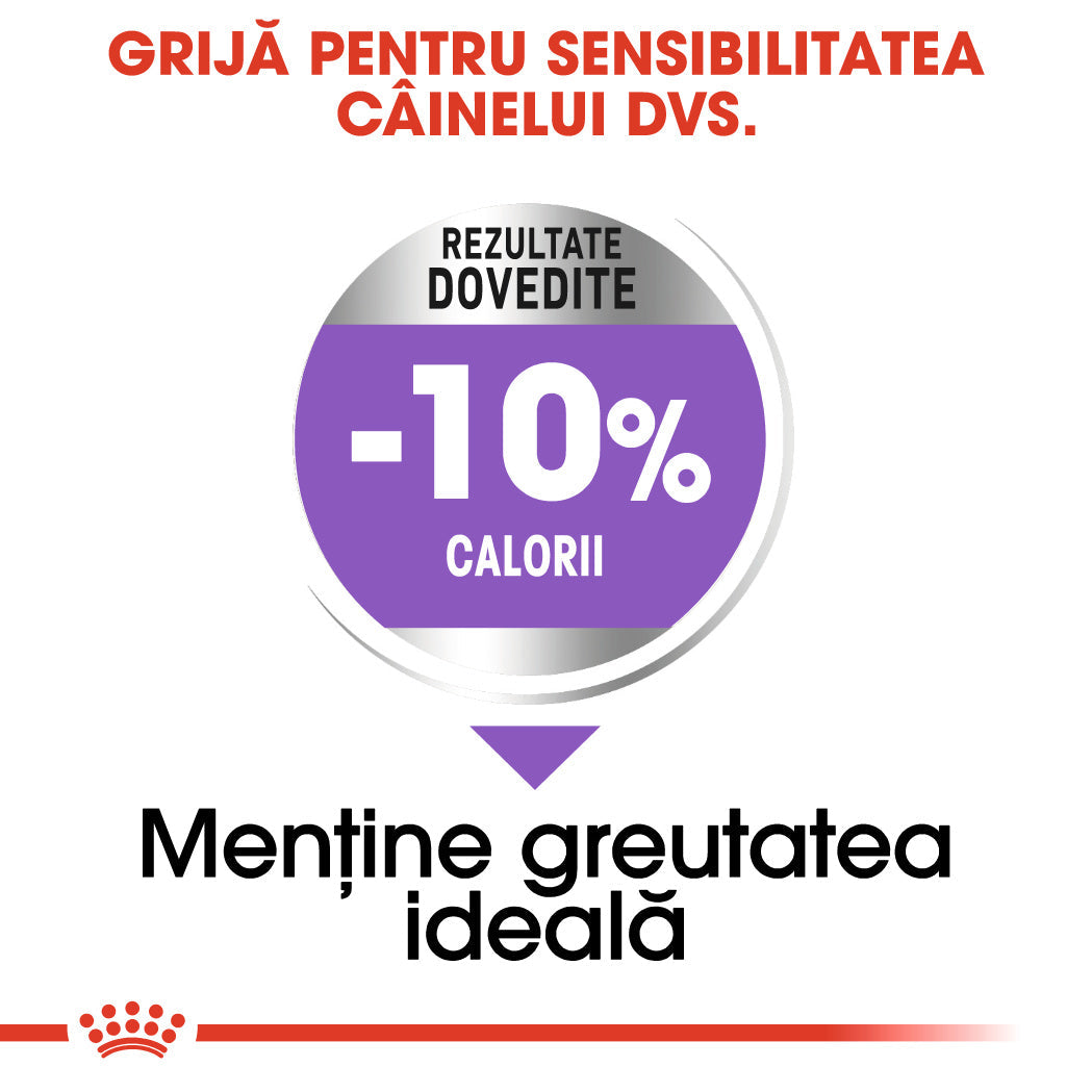 Royal Canin Medium Sterilised Adult hrana uscata caine sterilizat, 3 kg