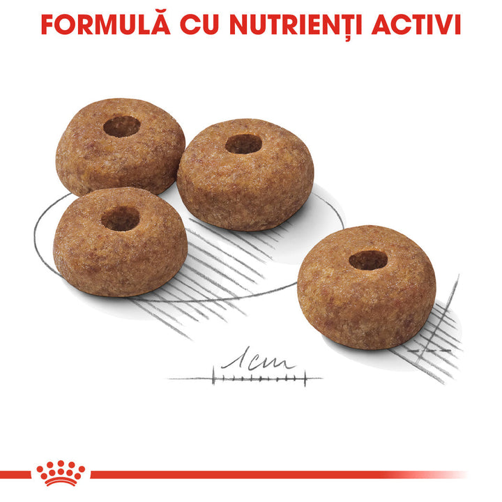 Royal Canin Medium Sterilised Adult hrana uscata caine sterilizat, 3 kg