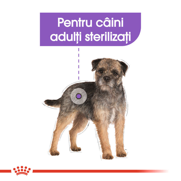 Royal Canin Mini Sterilised Adult hrana uscata caine sterilizat, 8 kg