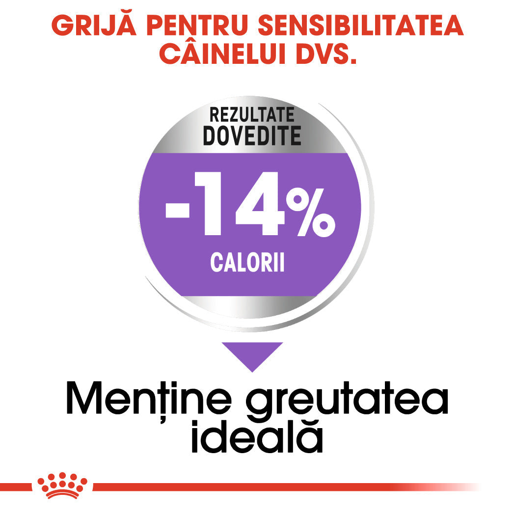 Royal Canin Mini Sterilised Adult hrana uscata caine sterilizat, 3 kg