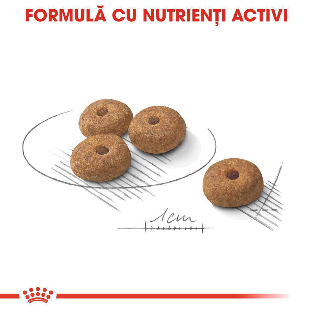 Royal Canin Mini Sterilised Adult hrana uscata caine sterilizat, 3 kg