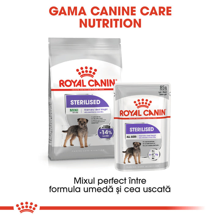 Royal Canin Mini Sterilised Adult hrana uscata caine sterilizat, 3 kg