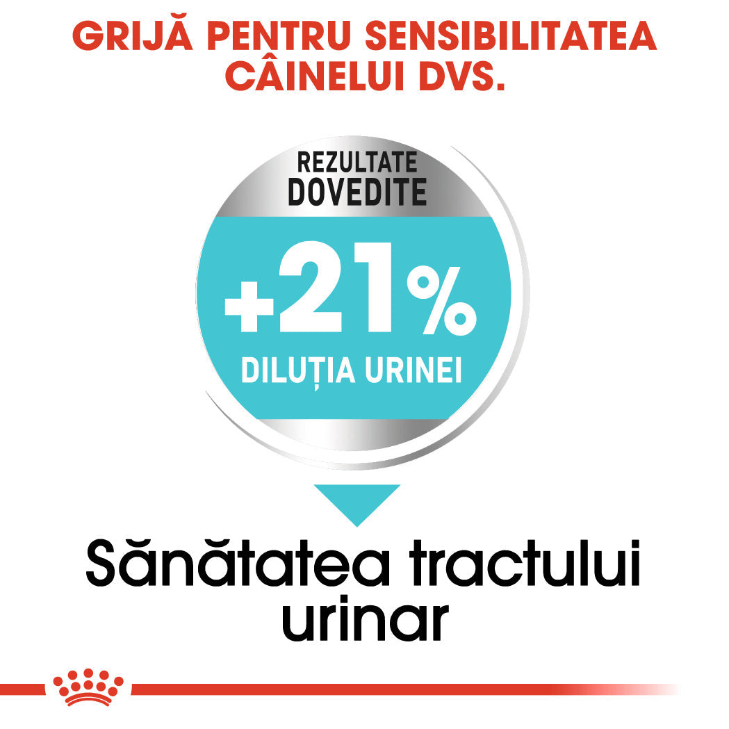 Royal Canin Mini Urinary Care hrana uscata caine, sanatatea tractului urinar, 8 kg