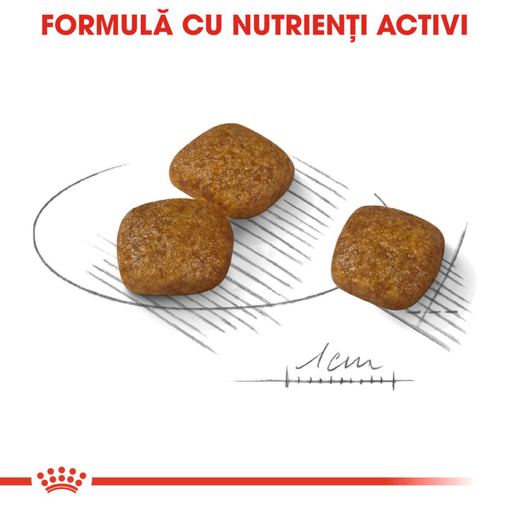Royal Canin Mini Urinary Care hrana uscata caine, sanatatea tractului urinar, 8 kg