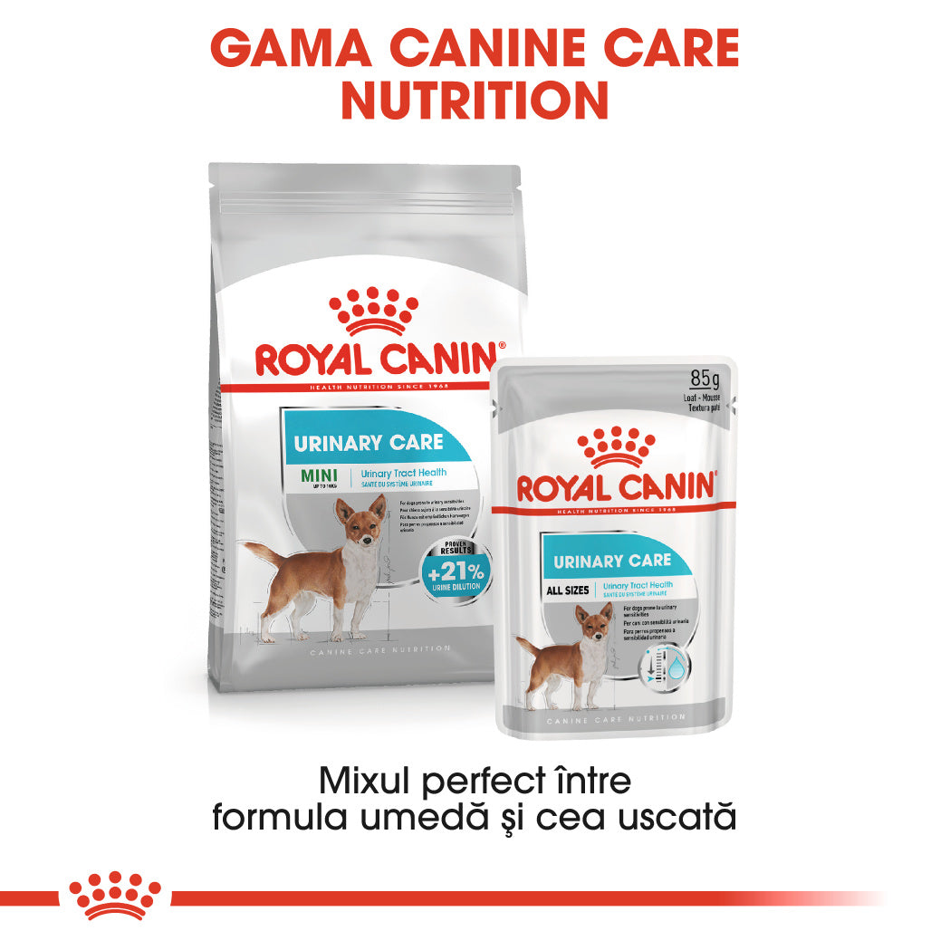 Royal Canin Mini Urinary Care hrana uscata caine, sanatatea tractului urinar, 8 kg