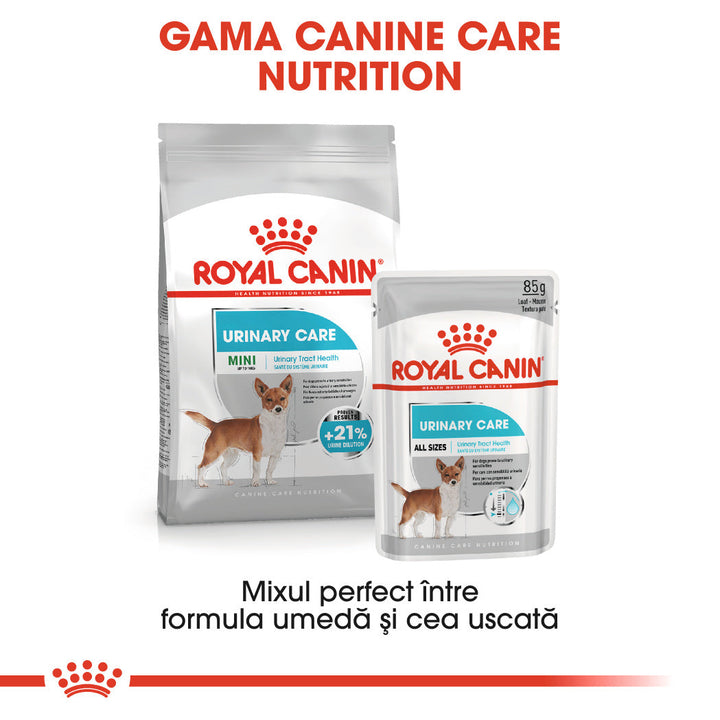 Royal Canin Mini Urinary Care hrana uscata caine, sanatatea tractului urinar, 8 kg