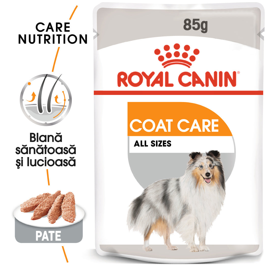 Hrana Umeda Caini Royal Canin BT29B | Adult, Blana, 85g