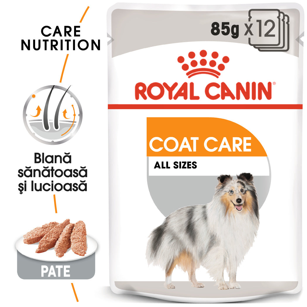 Hrana Umeda Caini Royal Canin BT29B | Adult, Blana, 85g