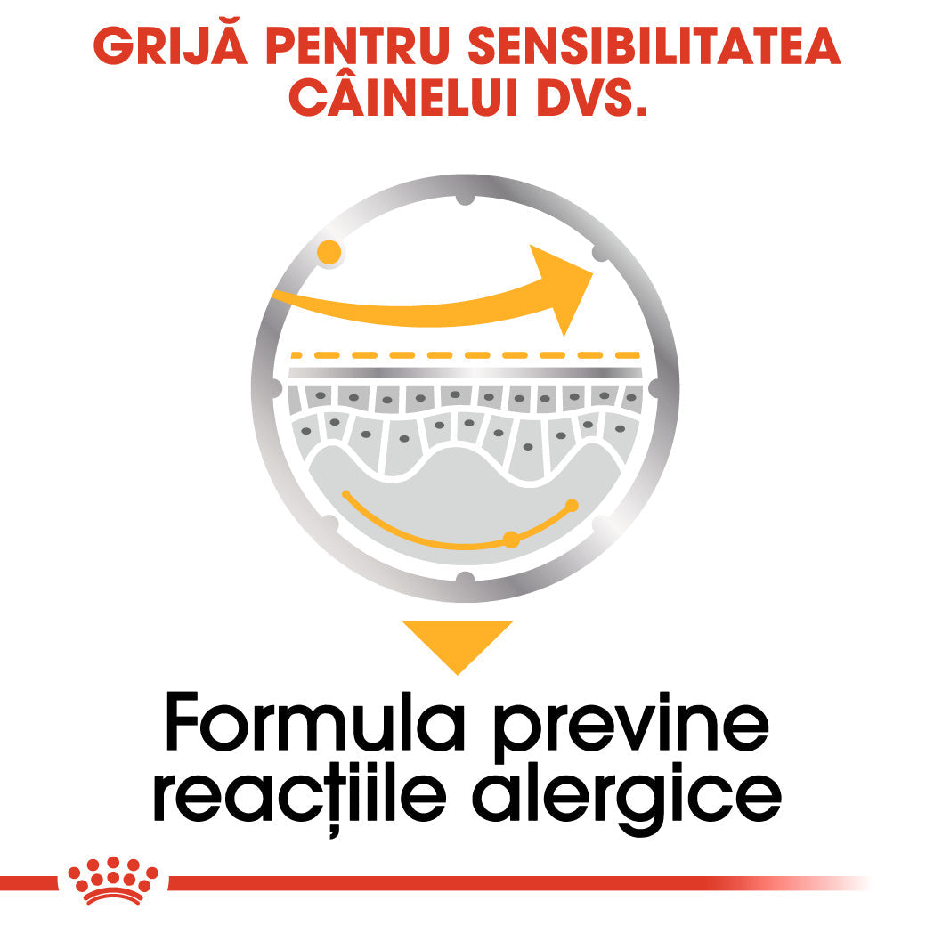 Royal Canin Dermacomfort Adult hrana umeda caine, prevenirea iritatiilor pielii (pate), 12 x 85 g