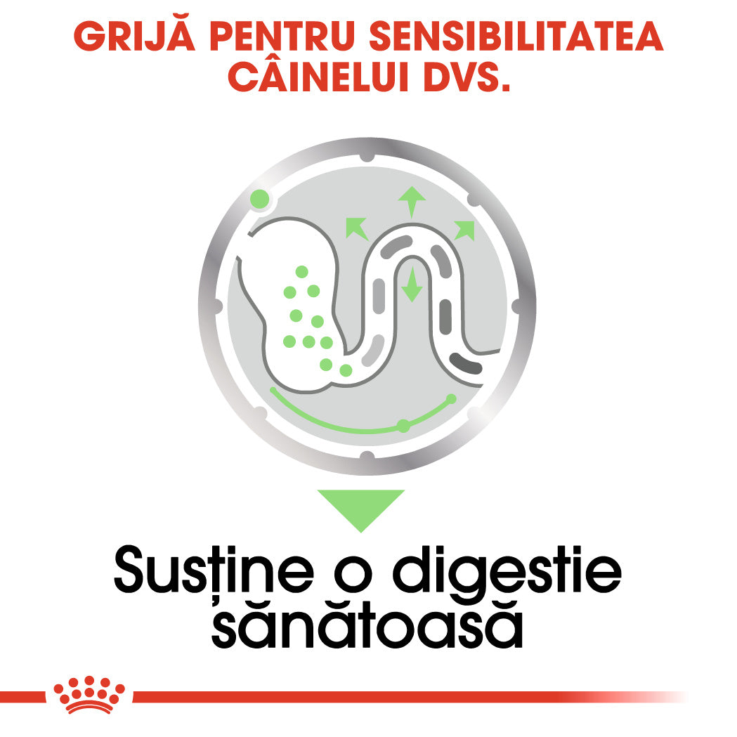 Royal Canin Digestive Care Adult hrana umeda caine, confort digestiv (pate), 12 x 85 g