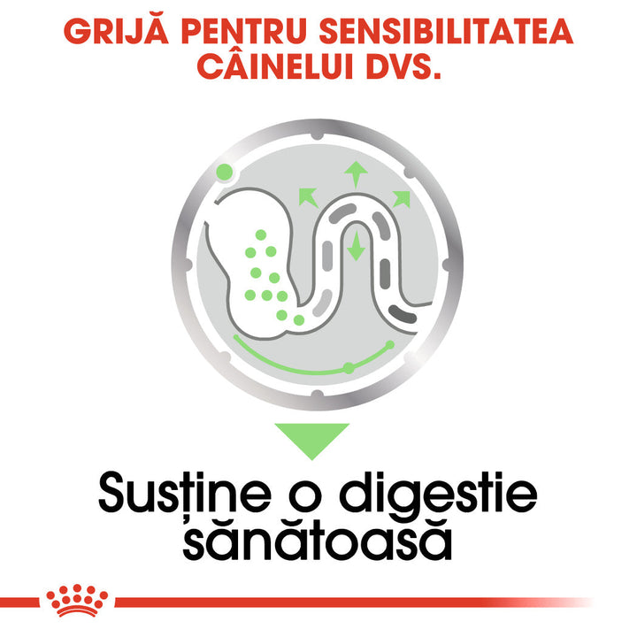 Royal Canin Digestive Care Adult hrana umeda caine, confort digestiv (pate), 12 x 85 g