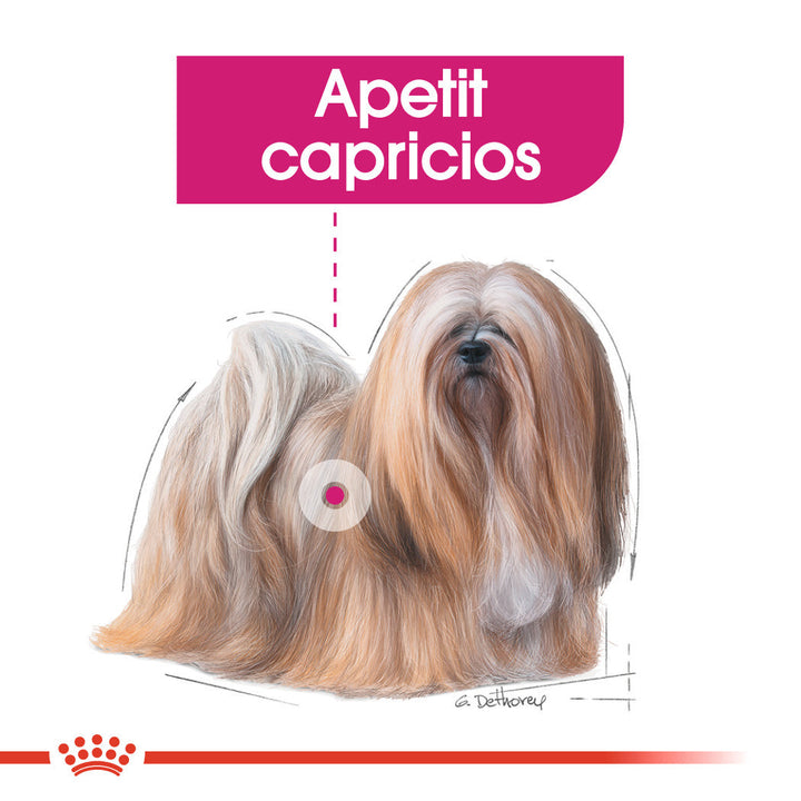 Royal Canin Exigent Adult hrana umeda caine, apetit capricios (pate), 12 x 85 g