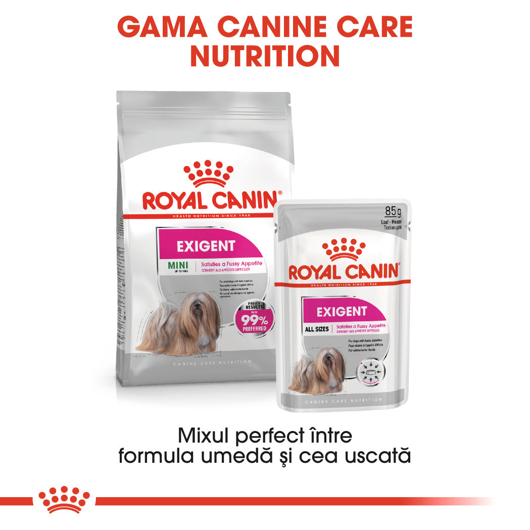 Royal Canin Exigent Adult hrana umeda caine, apetit capricios (pate), 12 x 85 g