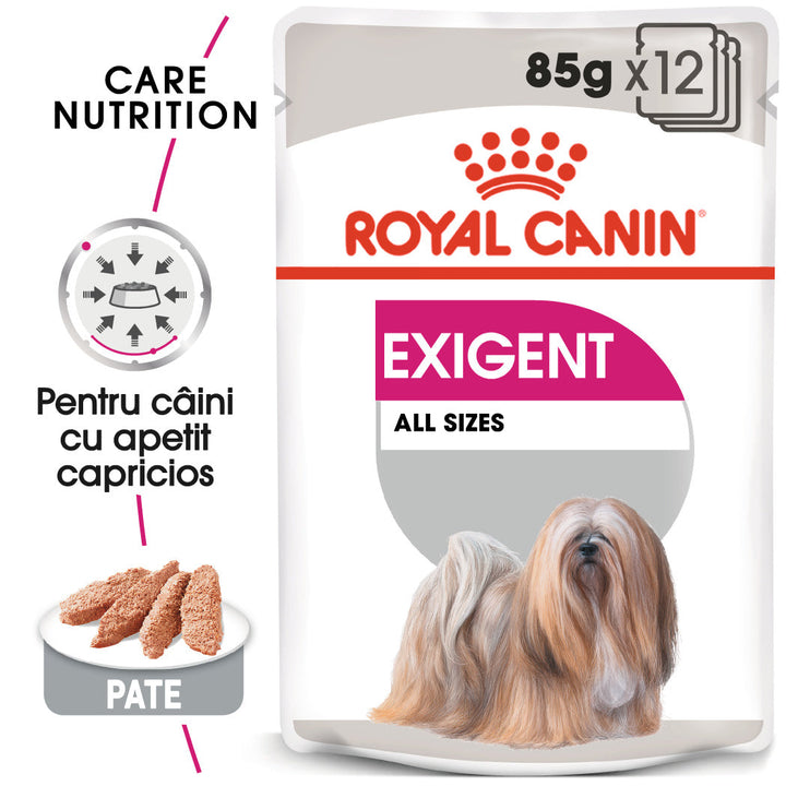 Hrana Umeda Caini Royal Canin BT29M | Exigent, 85g
