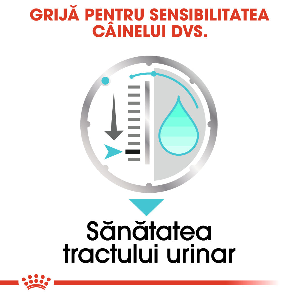 Royal Canin Urinary Care Adult hrana umeda caine, sanatatea tractului urinar (pate), 12 x 85 g