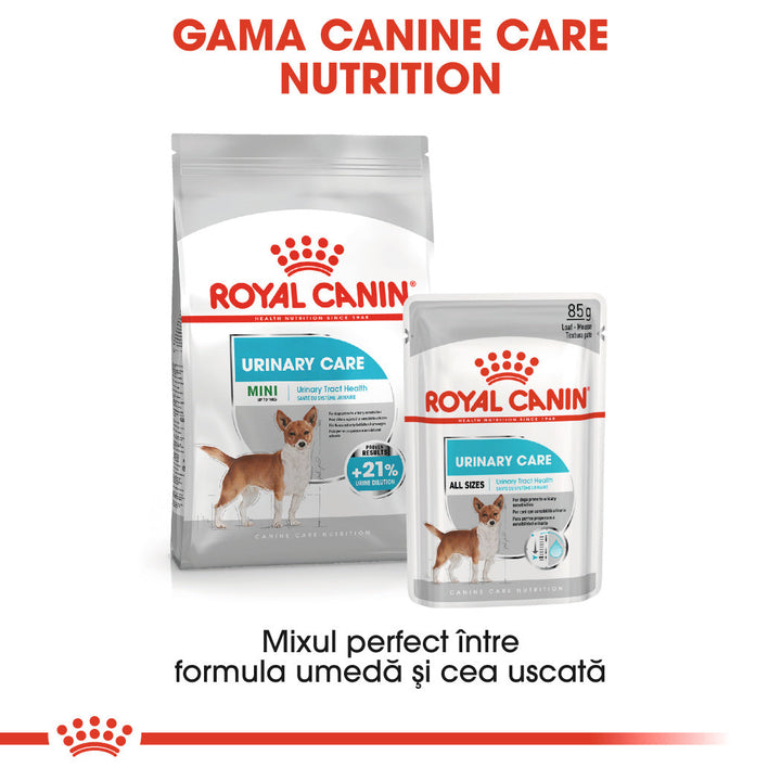 Royal Canin Urinary Care Adult hrana umeda caine, sanatatea tractului urinar (pate), 12 x 85 g