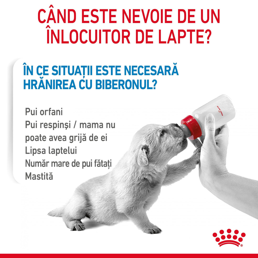 Royal Canin Baby Dog Milk inlocuitor lapte matern caine, 400 g