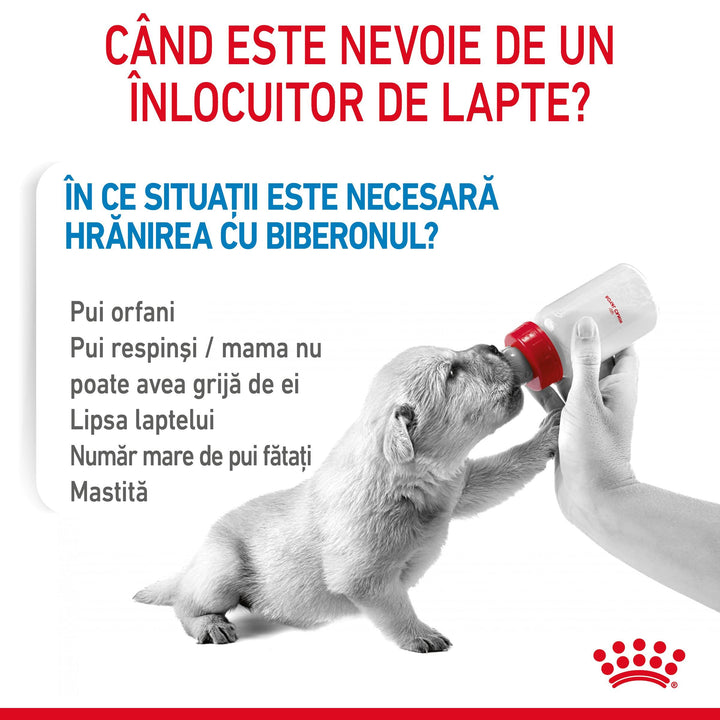 Royal Canin Baby Dog Milk inlocuitor lapte matern caine, 400 g