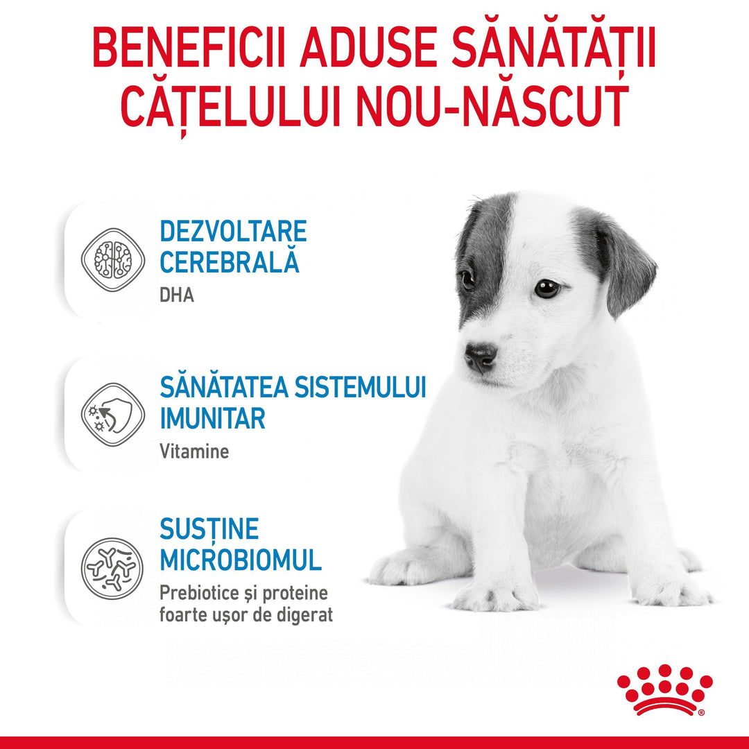 Royal Canin Baby Dog Milk inlocuitor lapte matern caine, 400 g