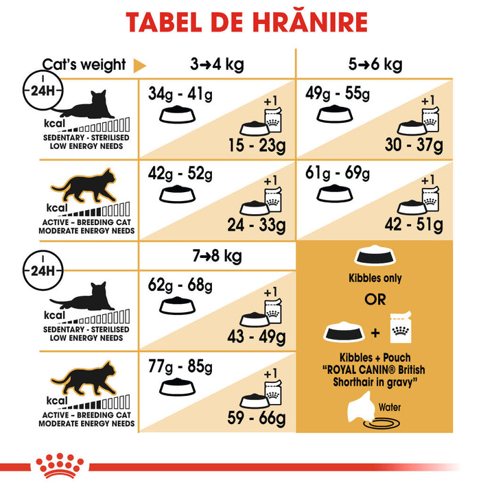 Royal Canin British Shorthair Adult hrana uscata pisica, 2 kg