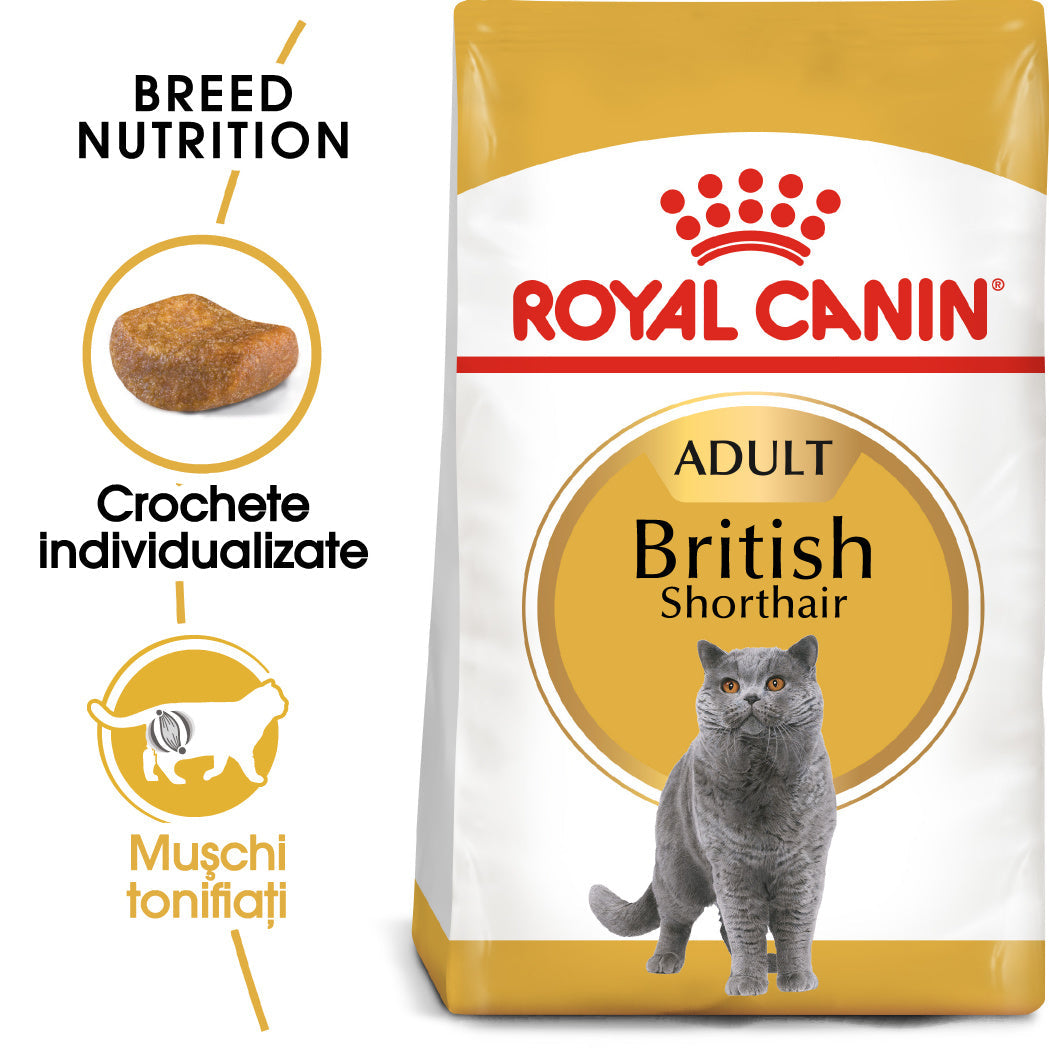 Royal Canin British Shorthair Adult hrana uscata pisica, 10 kg