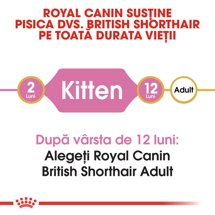 Royal Canin British Shorthair Kitten hrana uscata pisica junior, 2 kg