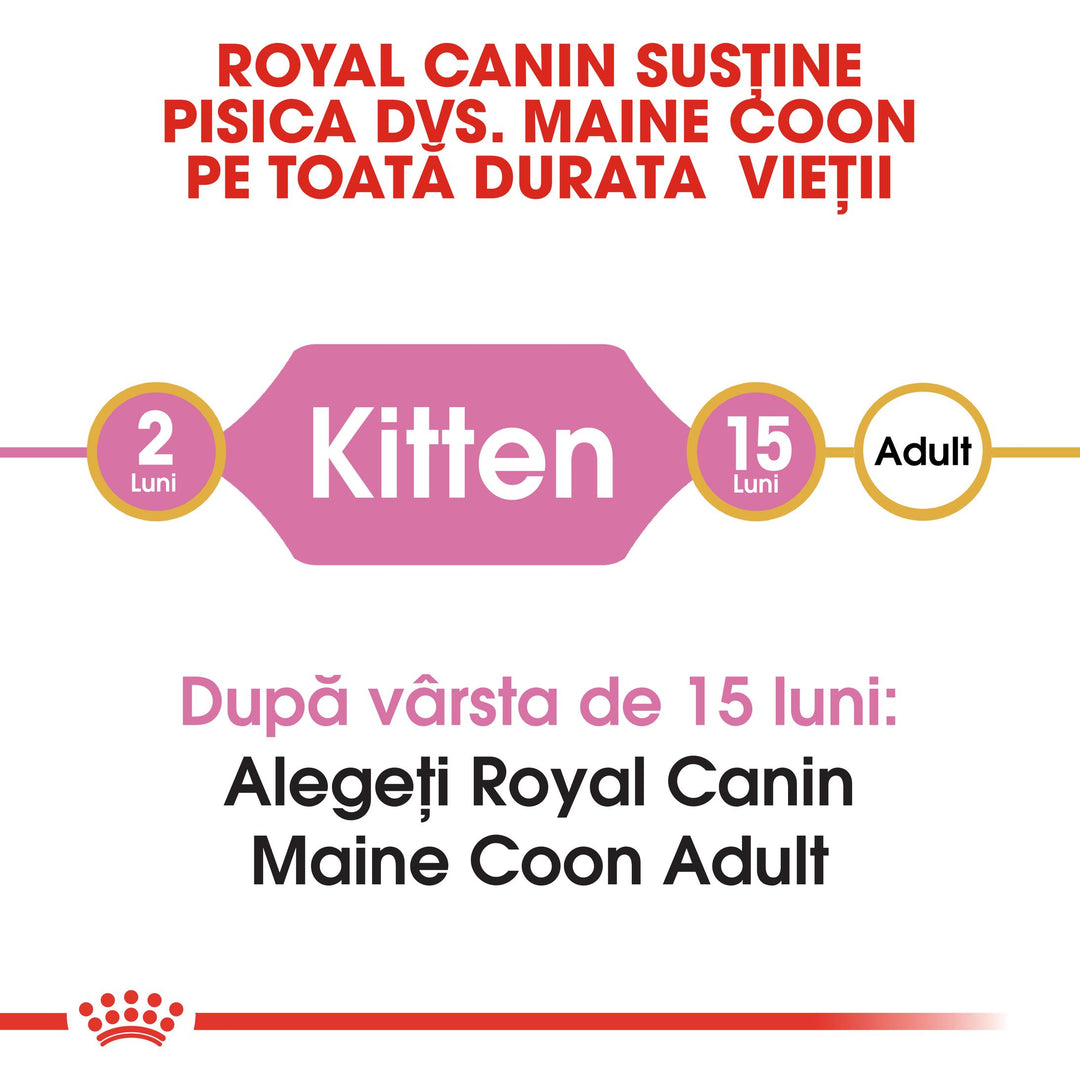 Royal Canin Maine Coon Kitten hrana uscata pisica junior, 2 kg