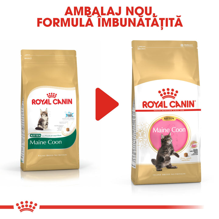 Royal Canin Maine Coon Kitten hrana uscata pisica junior, 2 kg
