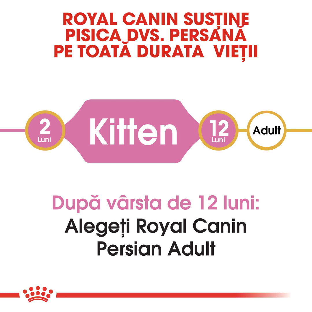 Royal Canin Persian Kitten hrana uscata pisica junior, 400 g
