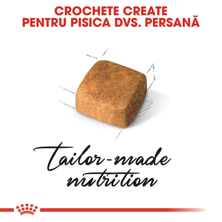 Royal Canin Persian Kitten hrana uscata pisica junior, 400 g