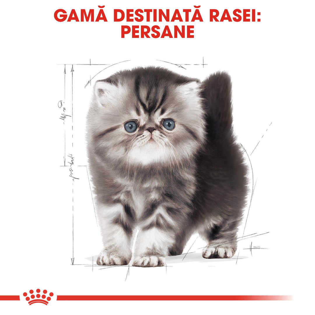 Royal Canin Persian Kitten hrana uscata pisica junior, 400 g