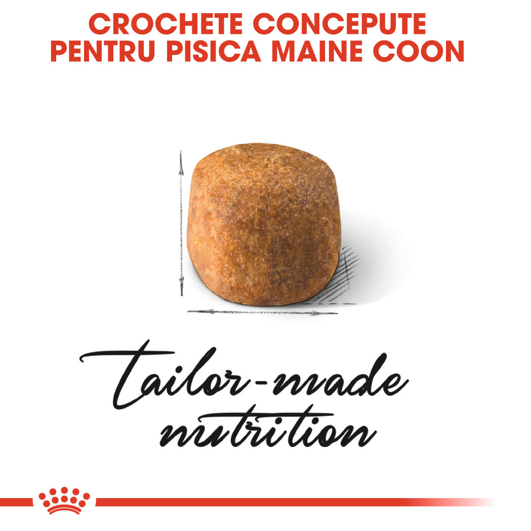 Royal Canin Maine Coon Adult hrana uscata pisica, 4 kg