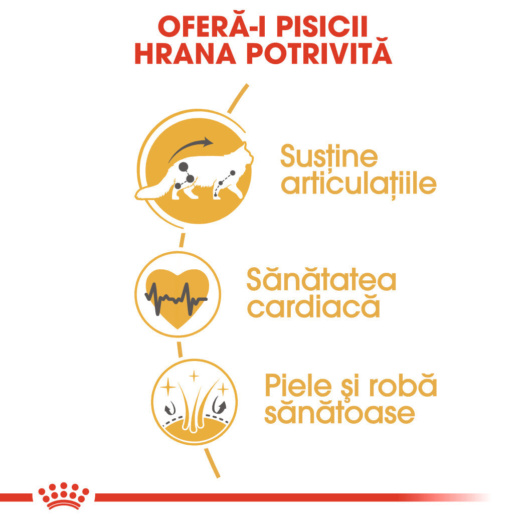 Royal Canin Maine Coon Adult hrana uscata pisica, 4 kg
