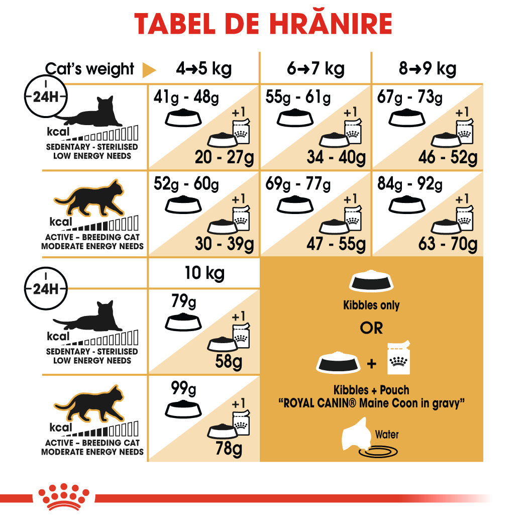 Royal Canin Maine Coon Adult hrana uscata pisica, 4 kg