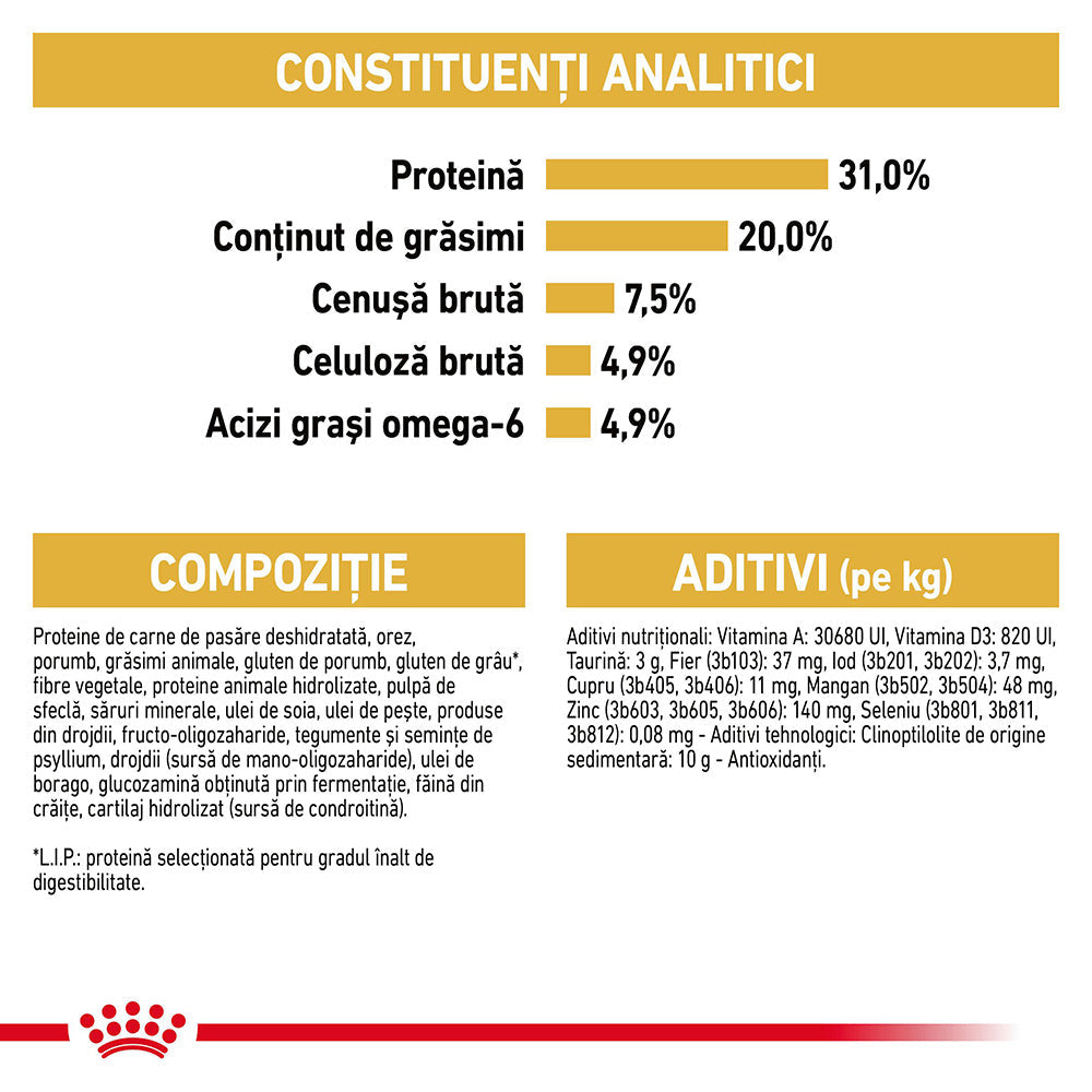 Royal Canin Maine Coon Adult hrana uscata pisica, 10 kg