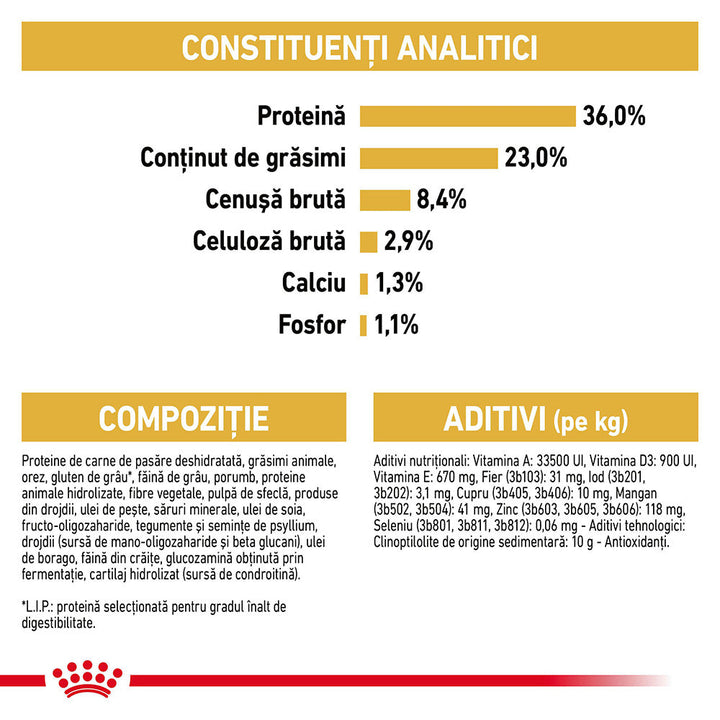 Royal Canin Maine Coon Kitten hrana uscata pisica junior, 10 kg