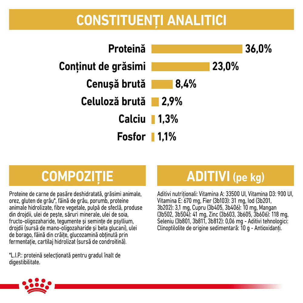 Royal Canin Maine Coon Kitten hrana uscata pisica junior, 2 kg