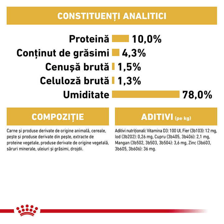 Royal Canin Maine Coon Adult hrana umeda pisica (in sos), 12 x 85 g