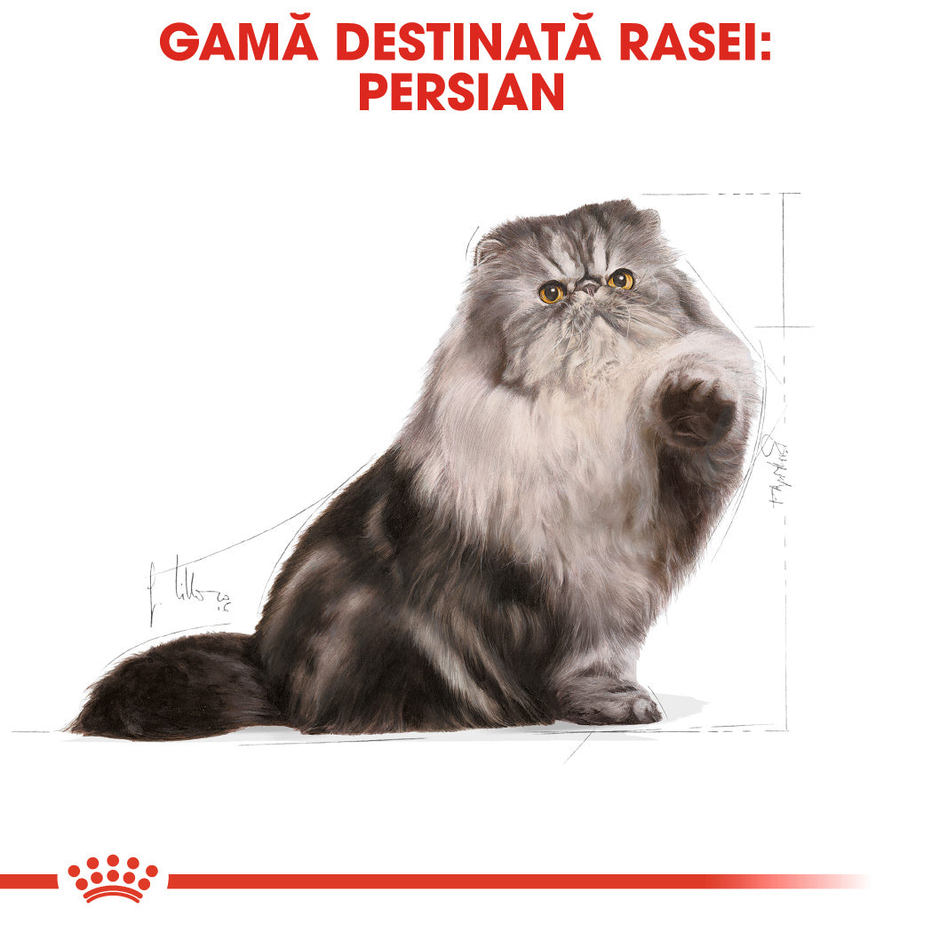 Royal Canin Persian Adult hrana uscata pisica, 400 g